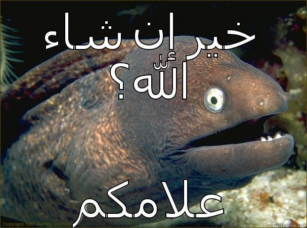 خير إن شاء الله؟ علامكم Bad Joke Eel