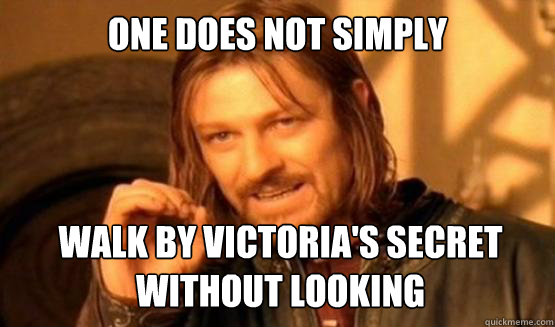 One does not simply Walk by Victoria's Secret without looking - One does not simply Walk by Victoria's Secret without looking  ONE DOES NOT SIMPLY DRIVE A CAR INTO BOSTON