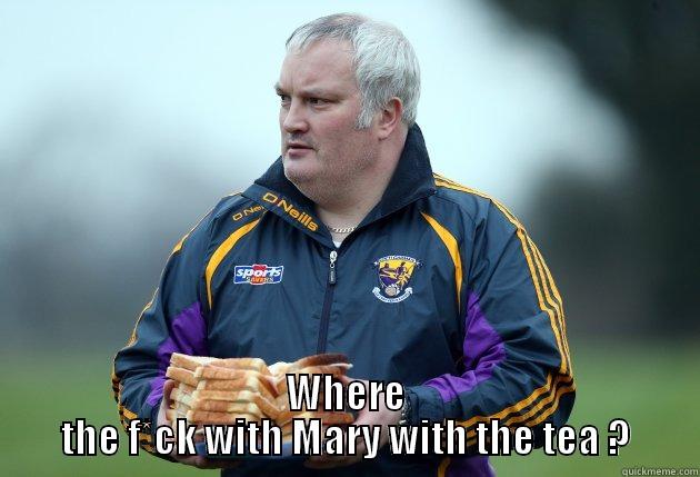 gaa food -  WHERE THE F*CK WITH MARY WITH THE TEA ? Misc