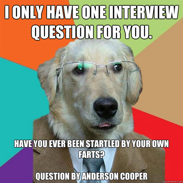 I only have one interview question for you.  Have you ever been startled by your own farts?

Question by Anderson Cooper  Business Dog