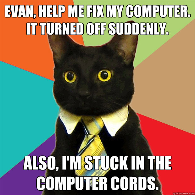 Evan, help me fix my computer. It turned off suddenly. Also, I'm stuck in the computer cords.  Business Cat