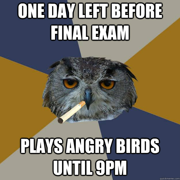 One day left before final exam Plays angry birds until 9pm  Art Student Owl