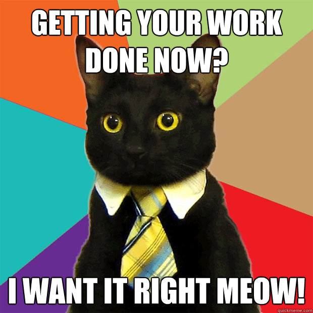 Getting your work done now? I want it right MEOW!  Business Cat