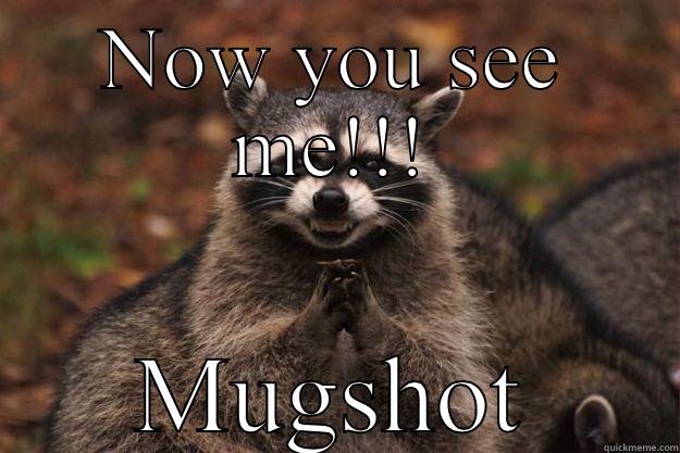 NOW YOU SEE ME!!! MUGSHOT Evil Plotting Raccoon