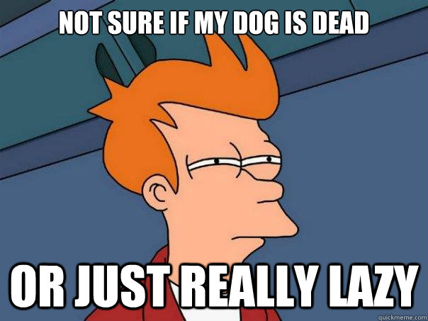 Not sure if my dog is dead or just really lazy  Futurama Fry