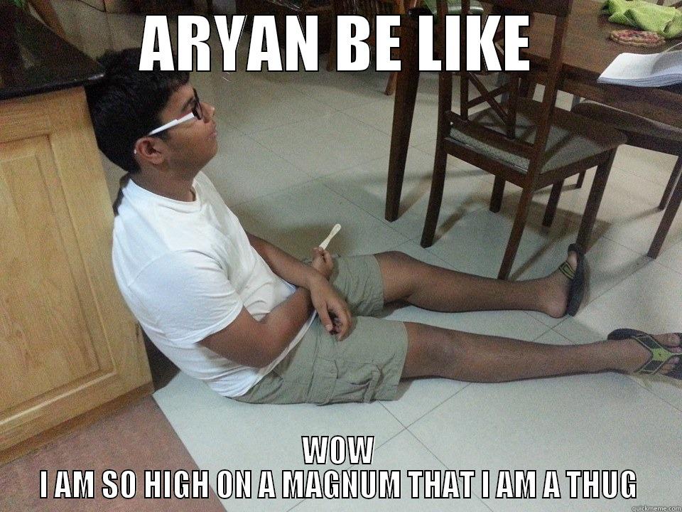 ARYAN SARASWATH - ARYAN BE LIKE WOW I AM SO HIGH ON A MAGNUM THAT I AM A THUG Misc