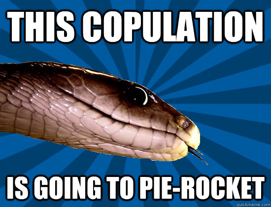 This copulation is going to pie-rocket  Spoonerism Snake