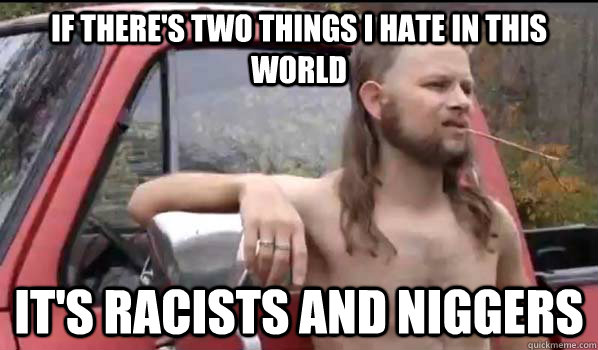 If there's two things I hate in this world It's racists and niggers  Almost Politically Correct Redneck