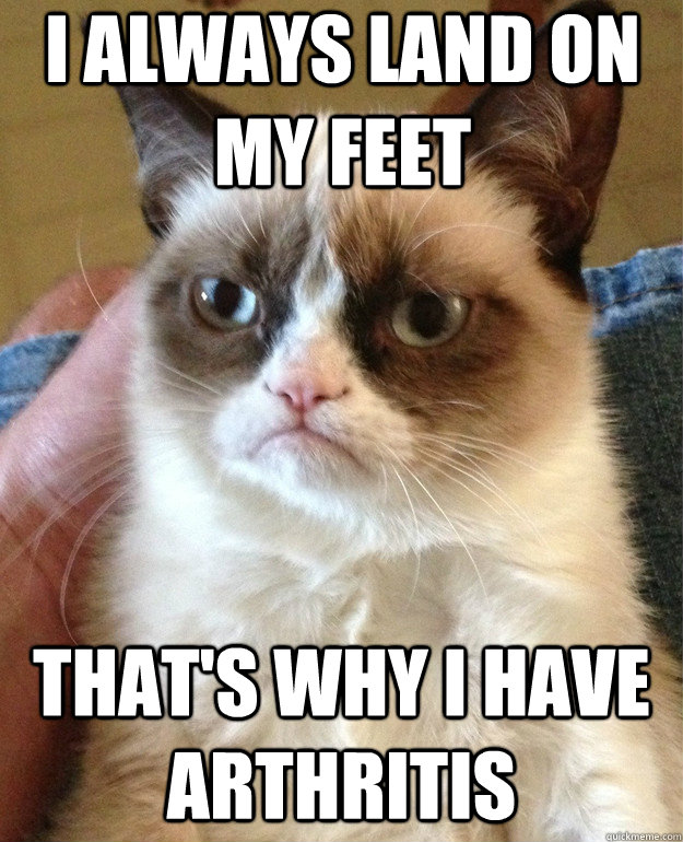 I always land on my feet that's why i have arthritis  Grumpy Cat