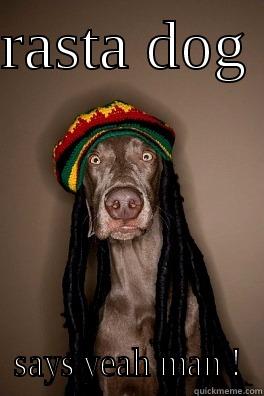 we're going to jamaica ! - RASTA DOG  SAYS YEAH MAN ! Misc