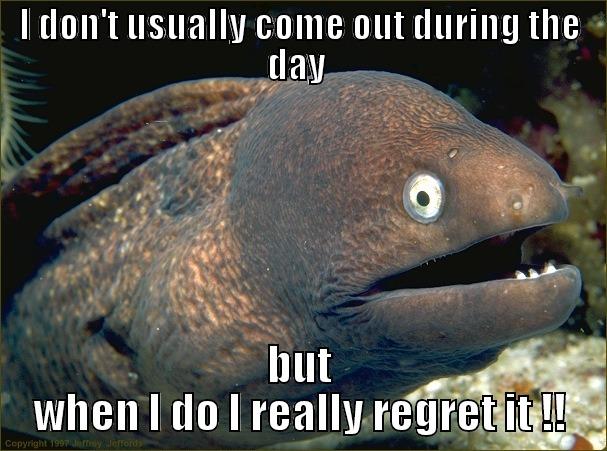 I DON'T USUALLY COME OUT DURING THE DAY  BUT WHEN I DO I REALLY REGRET IT !! Bad Joke Eel