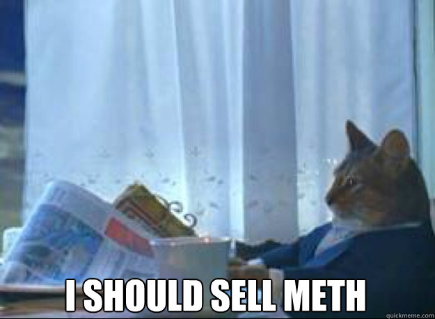 I should sell meth   I should buy a boat cat