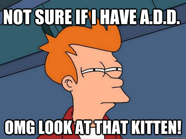 not sure if I have A.D.D. OMG look at that kitten!  Futurama Fry