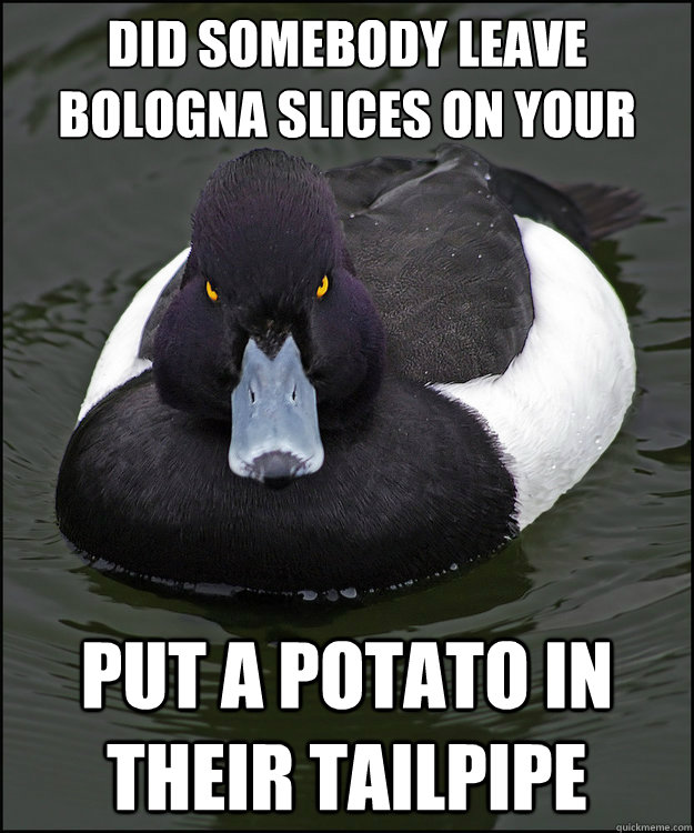 Did somebody leave bologna slices on your car overnight? put a potato in their tailpipe - Did somebody leave bologna slices on your car overnight? put a potato in their tailpipe  Revenge Duck