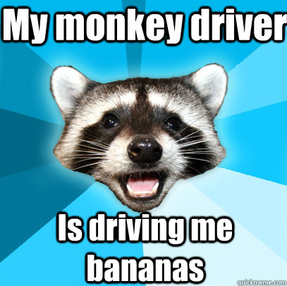 My monkey driver Is driving me bananas  Lame Pun Coon