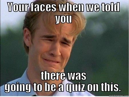 YOUR FACES WHEN WE TOLD YOU THERE WAS GOING TO BE A QUIZ ON THIS.  1990s Problems