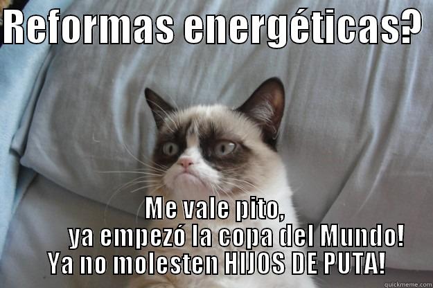 REFORMAS ENERGÉTICAS?  ME VALE PITO,          YA EMPEZÓ LA COPA DEL MUNDO!  YA NO MOLESTEN HIJOS DE PUTA! Grumpy Cat