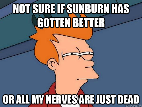 Not sure if sunburn has gotten better Or all my nerves are just dead  Futurama Fry