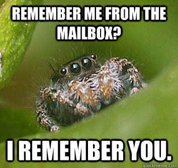 remember me from the mailbox? i remember you.  Misunderstood Spider