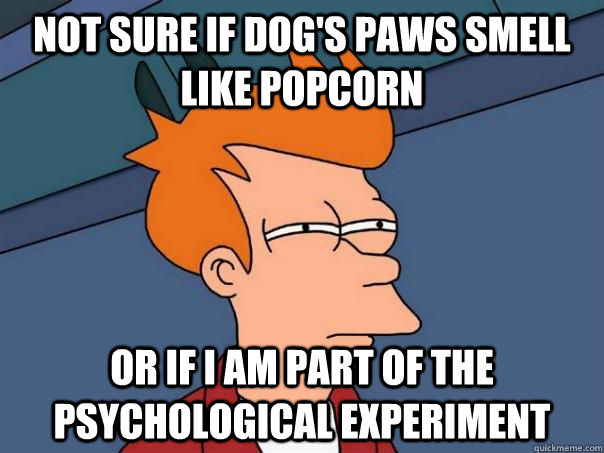 Not sure if dog's paws smell like popcorn or if I am part of the psychological experiment  - Not sure if dog's paws smell like popcorn or if I am part of the psychological experiment   Futurama Fry