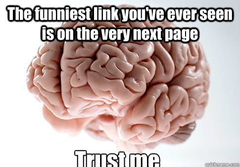 The funniest link you've ever seen is on the very next page Trust me - The funniest link you've ever seen is on the very next page Trust me  Scumbag Brain