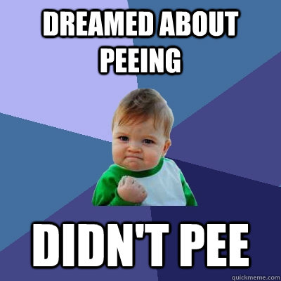 Dreamed about peeing Didn't pee  Success Kid