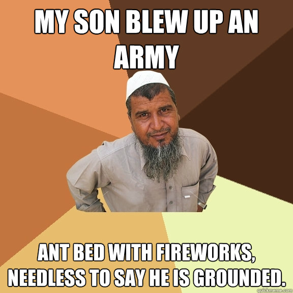 MY SON BLEW UP AN ARMY ant bed with fireworks, needless to say he is grounded.  Ordinary Muslim Man