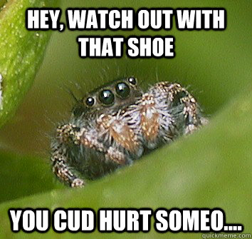 Hey, watch out with that shoe You cud hurt someo....  Misunderstood Spider