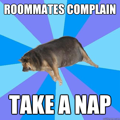 roommates complain take a nap  Lazy college student