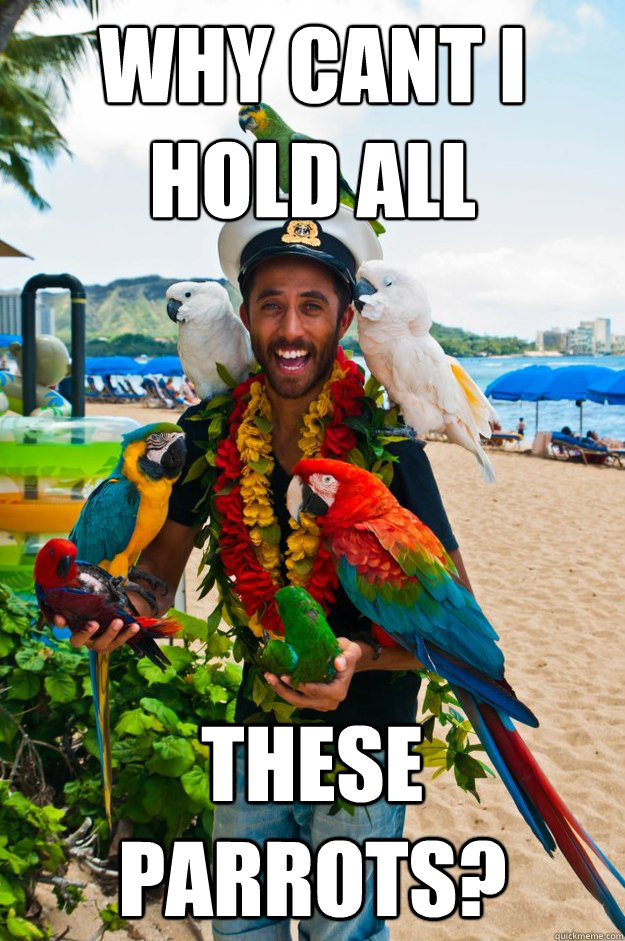 why cant i hold all these parrots? - why cant i hold all these parrots?  Misc