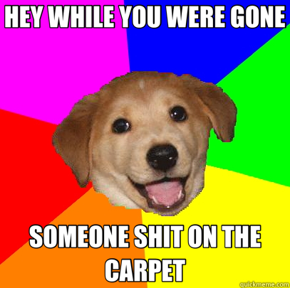 HEY WHILE YOU WERE GONE SOMEONE SHIT ON THE CARPET  Advice Dog