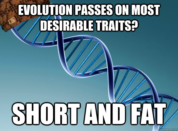 Evolution passes on most desirable traits? Short and fat  Scumbag Genetics