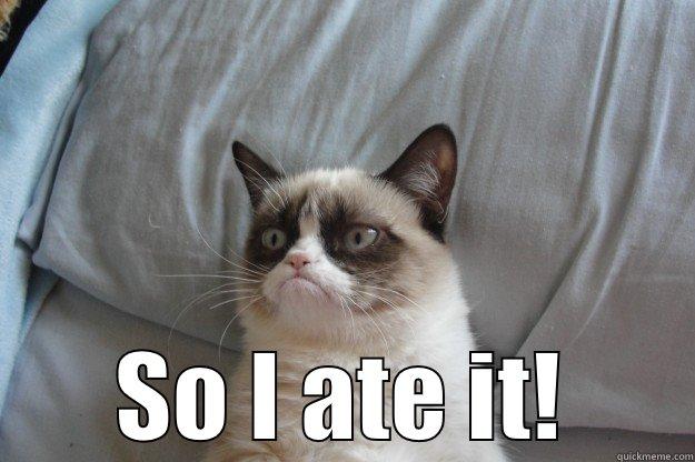  SO I ATE IT! Grumpy Cat