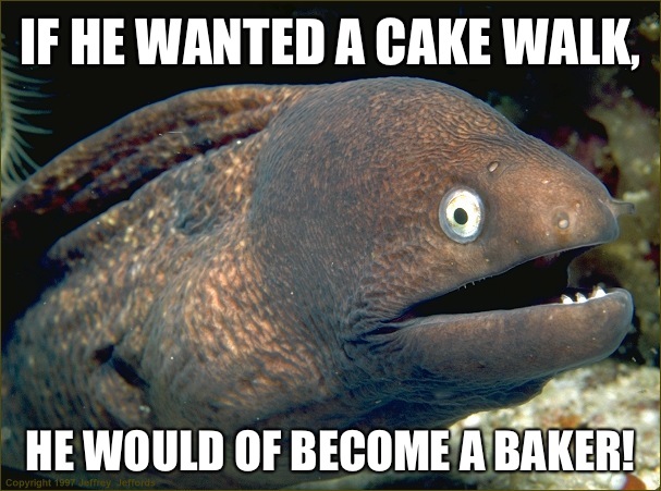 If he wanted a cake walk, He would of become a baker! - If he wanted a cake walk, He would of become a baker!  Bad Joke Eel