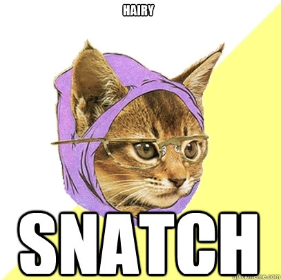 Hairy Snatch  Hipster Kitty