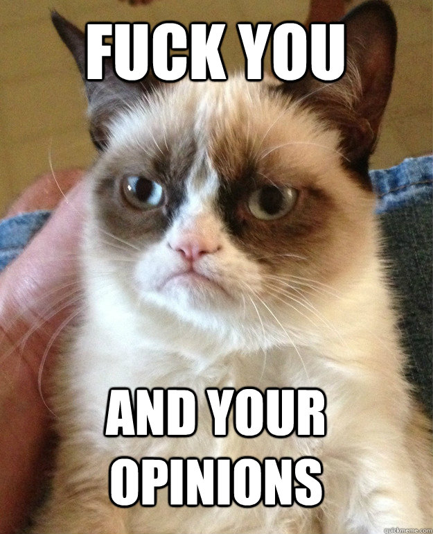 fuck you  and your opinions  Grumpy Cat