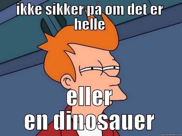 IKKE SIKKER PÅ OM DET ER HELLE ELLER EN DINOSAUER Futurama Fry