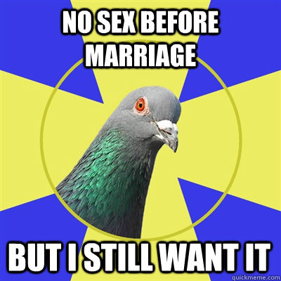 no sex before marriage but i still want it - no sex before marriage but i still want it  Religion Pigeon