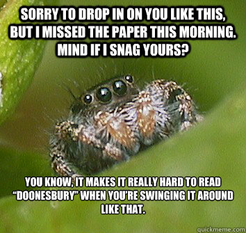 Sorry to drop in on you like this, but I missed the paper this morning. Mind if I snag yours? You know, it makes it really hard to read “Doonesbury” when you’re swinging it around like that.

  Misunderstood Spider