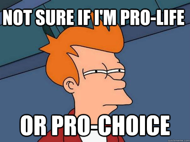 Not sure if I'm pro-life or pro-choice  Futurama Fry