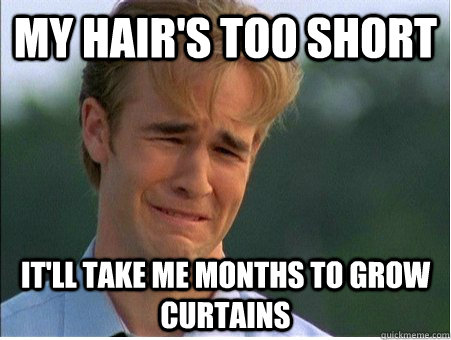 My hair's too short It'll take me months to grow curtains  1990s Problems