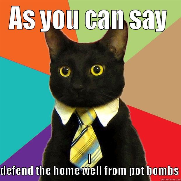 AS YOU CAN SAY I DEFEND THE HOME WELL FROM POT BOMBS Business Cat