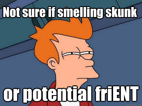 Not sure if smelling skunk or potential friENT  Futurama Fry