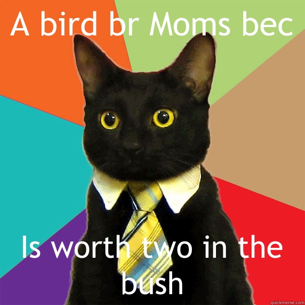 A bird br Moms bec Is worth two in the bush  Business Cat