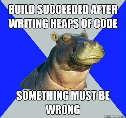 Build succeeded after writing heaps of code something must be wrong  Skeptical Hippo