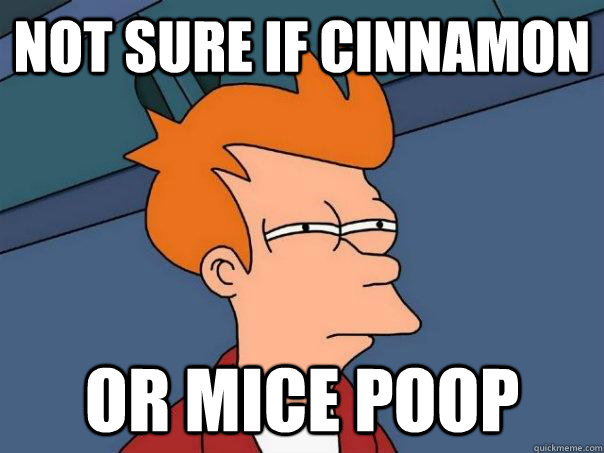 Not sure if cinnamon or mice poop  Futurama Fry