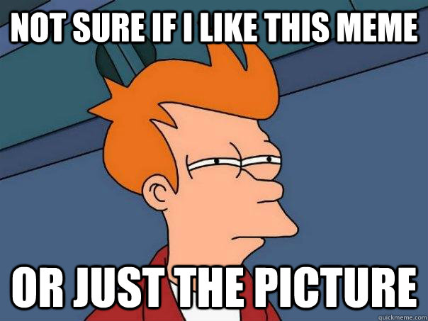 Not sure if i like this meme Or just the picture - Not sure if i like this meme Or just the picture  Futurama Fry