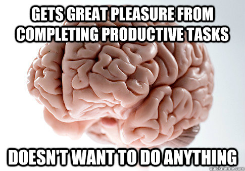 GETS GREAT PLEASURE FROM COMPLETING PRODUCTIVE TASKS DOESN'T WANT TO DO ANYTHING  Scumbag Brain