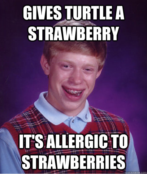 gives turtle a strawberry it's allergic to strawberries  Bad Luck Brian