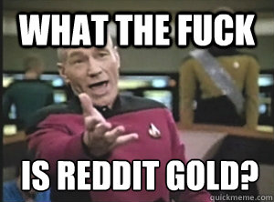 What the fuck is reddit gold?  Annoyed Picard